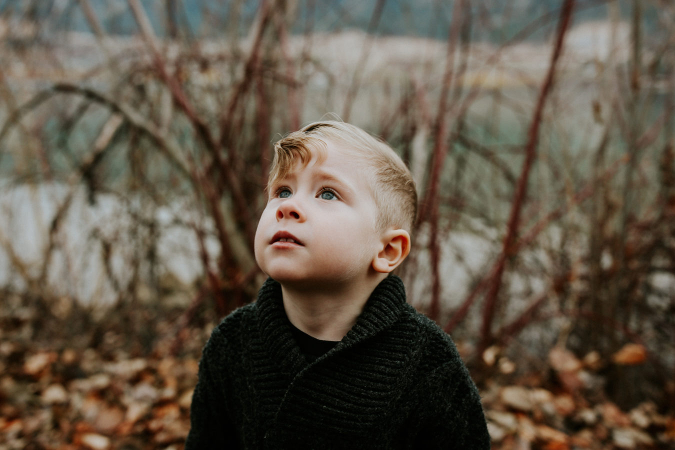 Kelowna-family-photographer-krista-evans-photography16