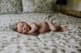 Kelowna newborn photographer krista evans photography